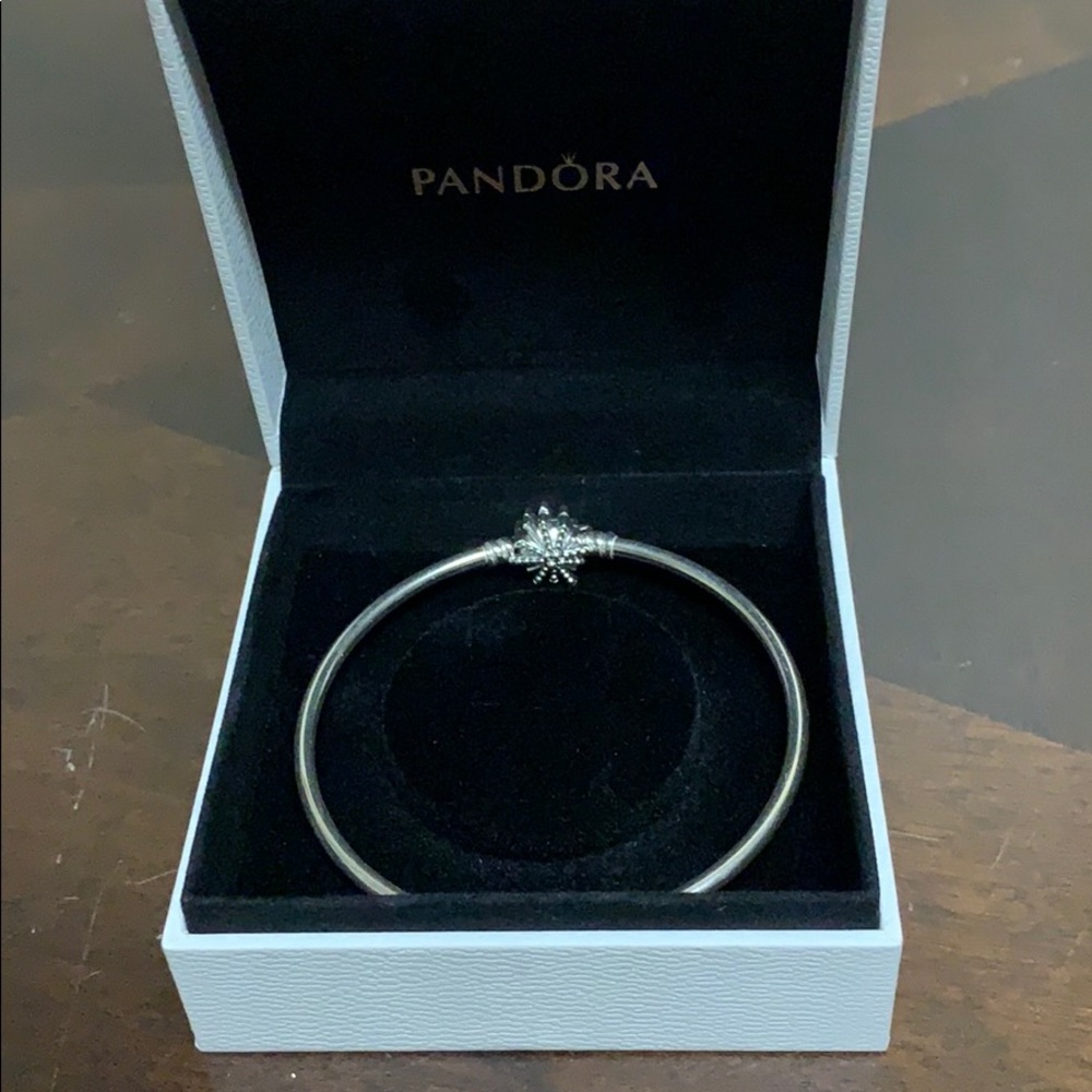 Pandora Bangle